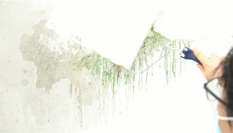 首页- 人生就是博中国官方网站