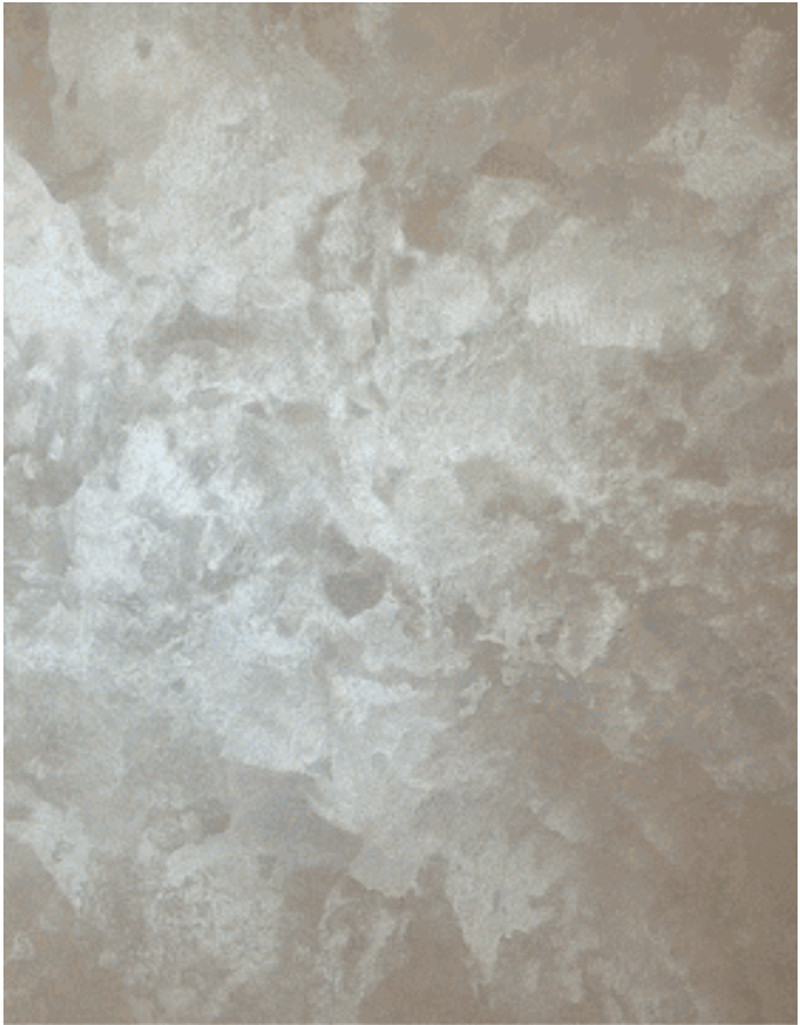 首页- 人生就是博中国官方网站